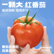 一颗大 红番茄西红柿礼盒装 550g*4盒/共16枚