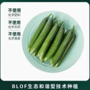 百果园旗下蔬菜品牌，三个零 新鲜水果黄瓜 5斤装