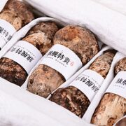 玲珑岭新鲜野生松茸出口特级 250g/5-7cm
