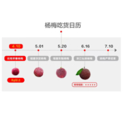 京鲜生 云南东魁杨梅500g装 单果12g起 口感酸 生鲜 新鲜水果