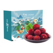 预售：京鲜生 仙居东魁杨梅60粒精品装 4A贡品级 近乒乓梅 单果20-25g