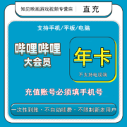 哔哩哔哩 bilibili大VIP会员 1年卡