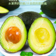 甘福园 墨西哥进口牛油果新鲜水果鳄梨 小果2个装