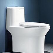 ANNWA 安华 NL131M 家用虹吸式马桶 305mm