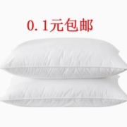 慢慢买618超级补贴—小型枕芯一个
