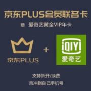 iQIYI 爱奇艺 京东plus会员年卡12个月+爱奇艺黄金VIP年卡12个月