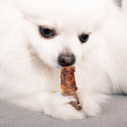 爵宴（MEATY WAY） 爵宴宠物狗狗零食肉干 成犬幼犬通用狗狗磨牙训练肉干肉条 鸭胸肉缠地瓜干1.13kg