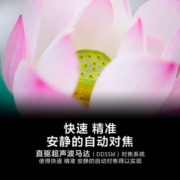 【自营】Sony/索尼 FE 24-105mm F4 G OSS 全画幅G镜头SEL24105G