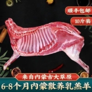 果勋羊肉内蒙古新鲜10斤半只羊套餐烧烤食材羔羊羊腿羊排羊蝎子