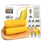 北纬47°（BEIWEI） 黄糯鲜玉米200g*6穗  低脂玉米棒糯玉米 东北玉米粘玉米
