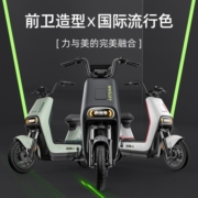 绿源LIVA7长续航新国标电动自行车48v12a铅酸男女代步电瓶车
