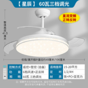 NVC Lighting 雷士照明 NVC) 隐形风扇灯精致简约现代铁艺四叶LED灯智能吊扇灯风扇灯客厅餐厅吊灯 24瓦照明丨单色白光丨节能变频丨6档风速 60瓦照明丨三色调光丨节能变频丨6档风速