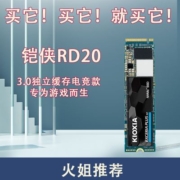 Kioxia/铠侠固态硬盘RD20 1T m.2 NVME PCIE3.0全新五年联保