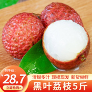 京东百亿补贴: 华味仙 广东黑叶荔枝 5斤装