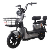 20点开始：ZUB 五星钻豹 B10plus 新国标电动车 TDT94-1Z 48V24A
