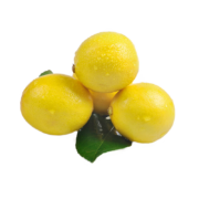 果迎鲜 黄柠檬 20个 单果60-100g