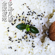 沁河东北大米香米珍珠米稻花香米 沁河稻香米5kg