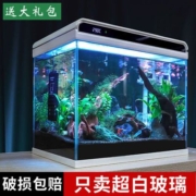 森森超白玻璃小鱼缸客厅 小型桌面家用水族箱 生态免换水造景缸
