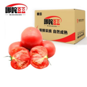 哪咤豆豆  生吃普罗旺斯西红柿5斤