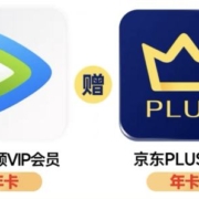 腾讯视频VIP年卡+京东PLUS会员年卡
