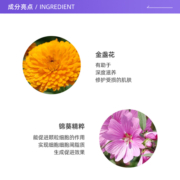 【自营】YSL圣罗兰新版恒颜恒久粉底液25ml持久哑光LN4/LC2法国