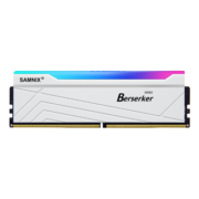新乐士（SAMNIX）台式机内存条 32GB(16GBx2)DDR5 6000Mhz白色 RGB灯条狂刃战士电竞游戏