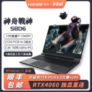 神舟战神S8D6/RTX4060独显 酷睿i7  144Hz高刷游戏轻薄本/C面金属