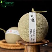 冰淇淋玫珑网纹蜜瓜 10斤礼盒装