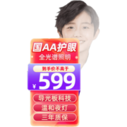 松下（Panasonic）台灯 学习小夜灯 充电护眼灯 床头卧室灯 书房灯 学生宿舍灯 致巡导光板 HHLT0655B
