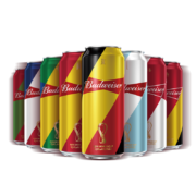 88vip：Budweiser 百威 世界杯定制款啤酒 450ml*20听