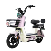 五星钻豹电动车B15 新国标电瓶车48V18AH男女小型代步车两轮电动自行车 源彩暮灰/漫步白/F星辰白