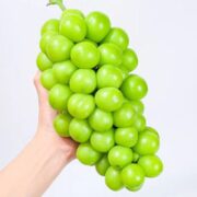 晴王玫瑰葡萄 2.5kg装 单果8-12g