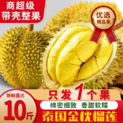 需抢券：落沙园金枕榴莲整箱鲜榴莲进口鲜果整个带壳 时令生鲜 盲盒2-3斤榴莲