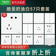 施耐德正品皓呈全屋套餐开关插座面板暗装五孔插座双控开关57只装