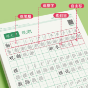 四年级练字帖上下册五六年级字帖小学生专用语文同步人教版笔画笔顺书法练字本楷体组词识字儿童入门生字描红临摹每日一练硬笔钢笔