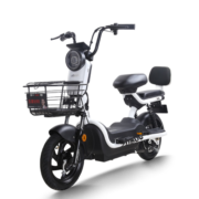 五星钻豹电动车 新国标48V20AH电瓶车小型外卖代步轻便电动自行车 A7PLUS 星辰白