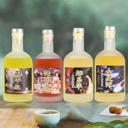 威兰特 果味酒 330ml 单支