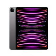 京东百亿补贴：Apple 苹果 ipadpro2022款11英寸苹果平板电脑 M2芯片 11 寸 灰色 512G