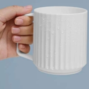 天降福利：禧天龙 抗菌刷牙杯