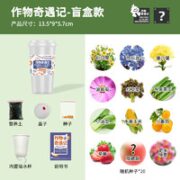 作物奇遇记 儿童植物盲盒盆栽