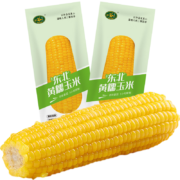 珍谷诱惑 东北黄糯玉米棒 200g*8支