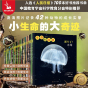 生命的故事系列 儿童昆虫记科普百科全书 第一二三四辑全套42册