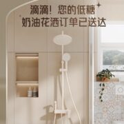 ARROW 箭牌卫浴 N20 奶油风花洒套装 四功能冷热版