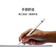 【阿里自营】Apple/苹果 Apple Pencil (第一代) 适用iPad 9/iPad 10等 手写笔平板触控笔(含USB-C转换器)