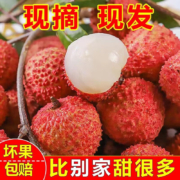京东百亿补贴：南洋姐妹 白蜡新鲜荔枝 5斤精选装 单果18G+