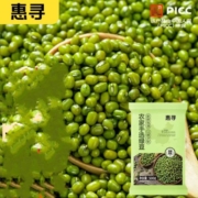 京喜APP: 惠寻 农家手工绿豆 500g