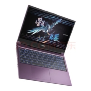 京东百亿补贴：七彩虹（Colorful）将星X15AT-23款40系新品13代酷睿满血游戏笔记本电脑 i9-13900HX/4070/2K165HZ紫色 16G/512G固态/标配