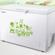 Ronshen 容声 BD/BC-309MD 冷柜 309L