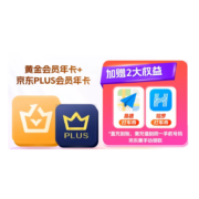 8日0点：iQIYI 爱奇艺 黄金会员年卡+京东PLUS年卡 双年卡加赠2大权益