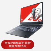 ThundeRobot 雷神 911X猎荒者-20周年纪念款 15.6英寸游戏本（i5-13500H、16GB、512GB、RTX 4060）